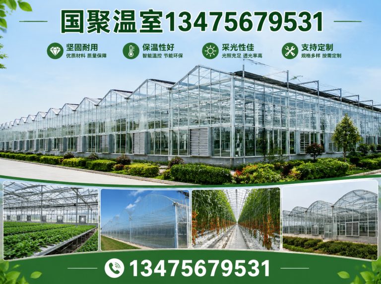 诸城市连栋薄膜温室展示图