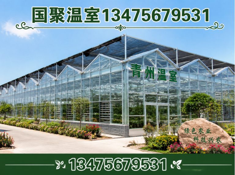诸城市玻璃温室展示图
